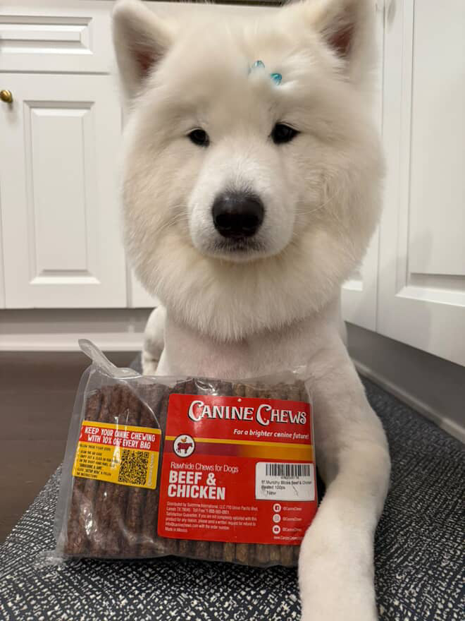 Why These 5" Munchy Treat Sticks Are a Quiet Blessing for Dog Owners Who’ve Seen It All