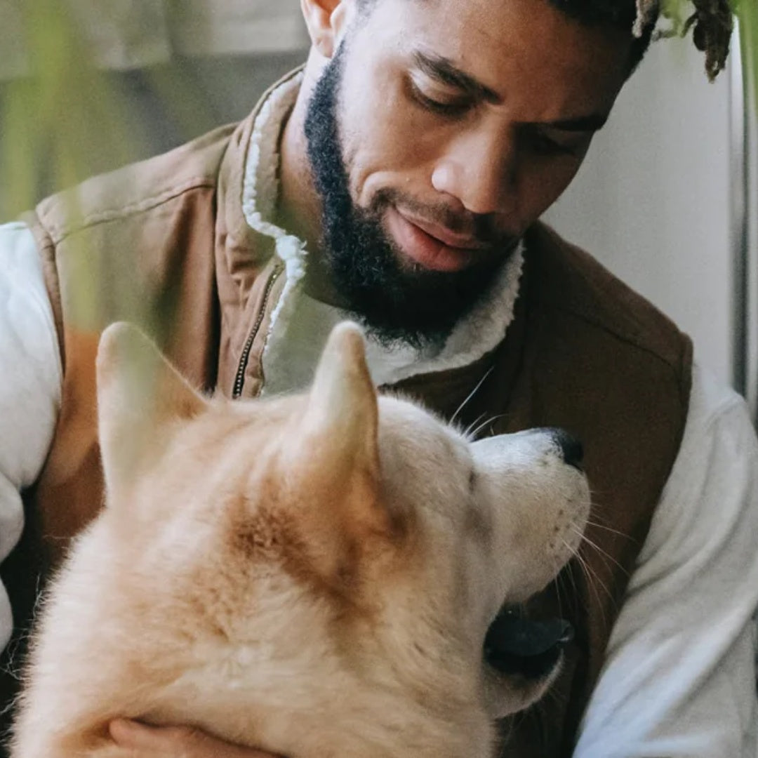 Why Canine Chews Extra Thick Rawhide Rolls Are a Game Changer for Large, Aggressive Chewers