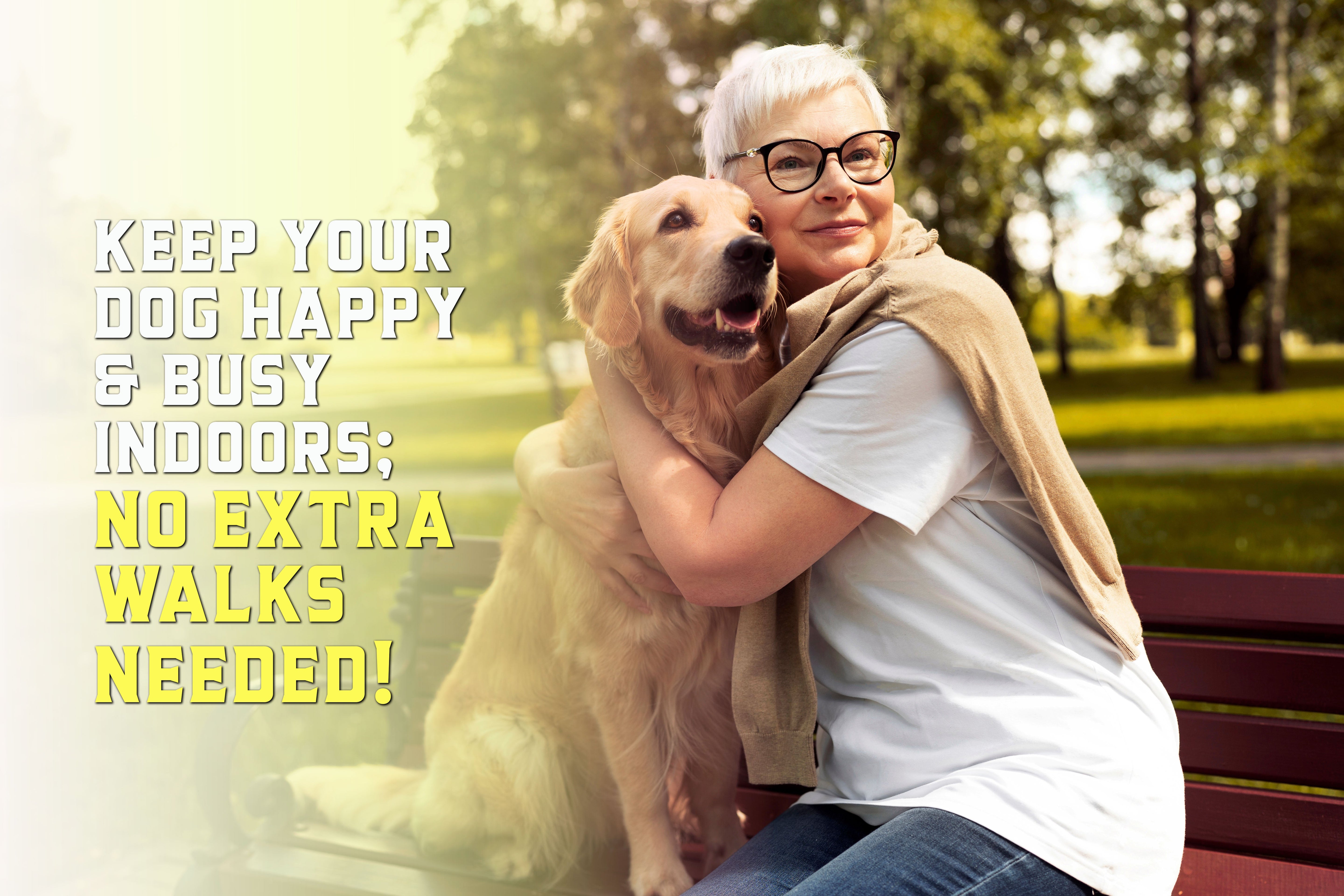 The Secret to Keeping Your Dog Busy and Happy (Without Extra Walks)