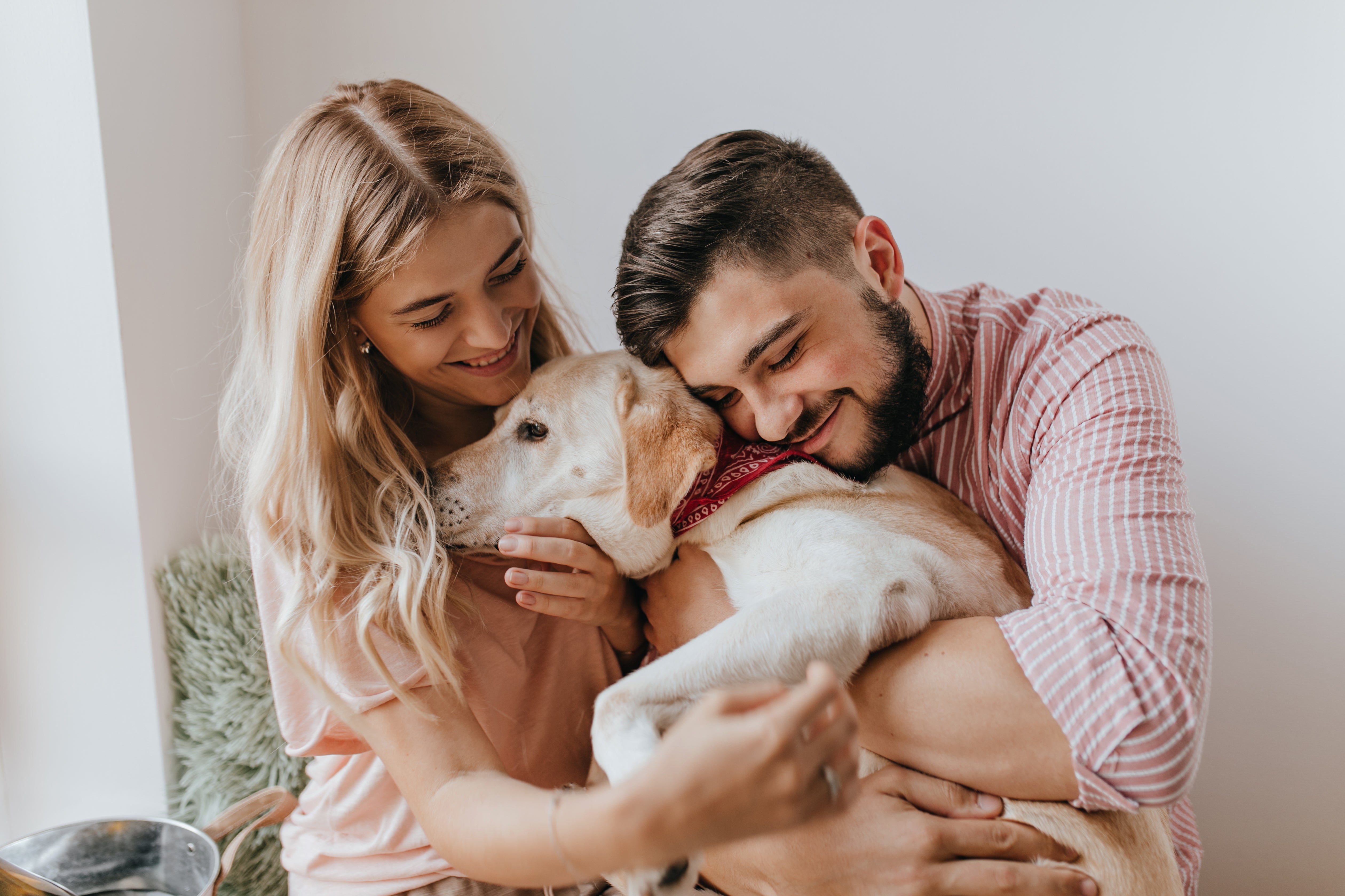 🦴 Why Dog Owners Are Raving About Canine Chews’ Long-Lasting Retriever Rolls